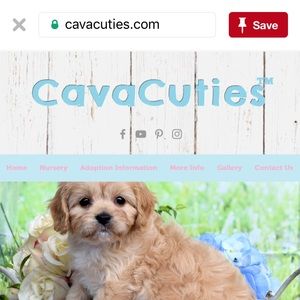 Meet your Posher, Joanna